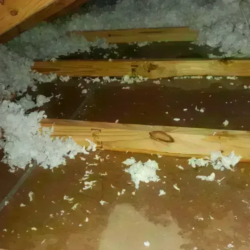 Attic Water Damage in Wisner, NE